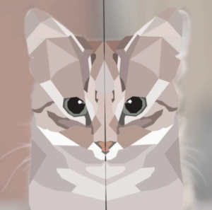 屏幕截图 2025-12-09 154644